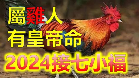 屬雞的人|屬雞出生年份/幾多歲？屬雞性格特徵+生肖配對+2024。